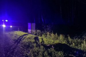 В Камешковском районе легковушка столкнулась с ГАЗелью из-за лося