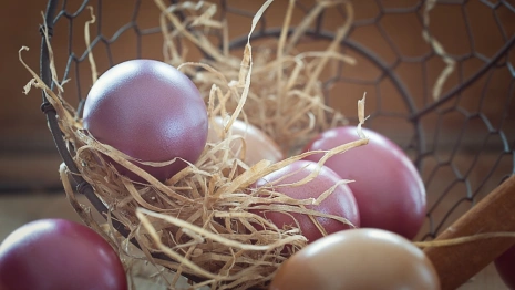 От Пасхи в Загородном до Виктора Цоя. Как провести выходные во Владимире