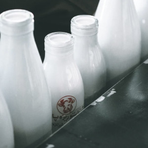 Во Владимире откроется «Фермерский островок»