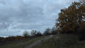 Прогноз погоды во Владимирской области на 19 ноября 2025 года