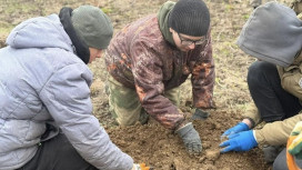 Владимирские поисковики обнаружили останки 13 красноармейцев