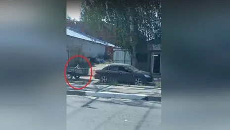 Во Владимирской области водитель прокатил ребенка в открытом прицепе