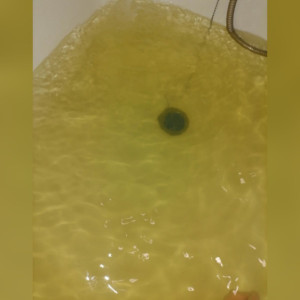 Владимирцы пожаловались на желтую воду в кранах