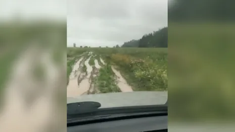 Власти предложили жителям деревни под Кольчугино скинуться на ремонт дороги