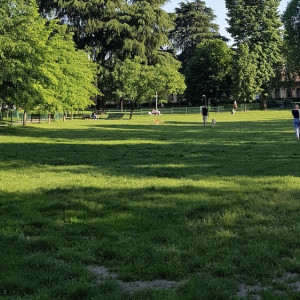 Чиновники отклонили проект застройки лугопарка «Дружба» во Владимире