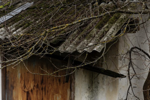 Уголовное дело о разрушении дома царских времен во Владимире прекратили