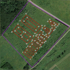 Во Владимирской области появится посвященный 80-летию Победы геоглиф