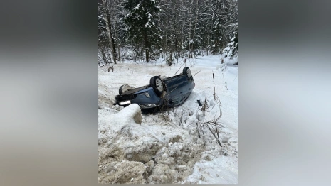 Во Владимирской области легковушка вылетела в кювет и перевернулась