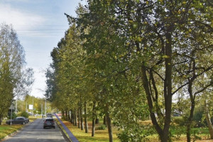 Во Владимире вернулись к вопросу расширения и благоустройства бульвара Художника Иванова