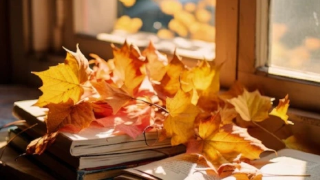 Домин день: что можно и чего нельзя делать 16 сентября