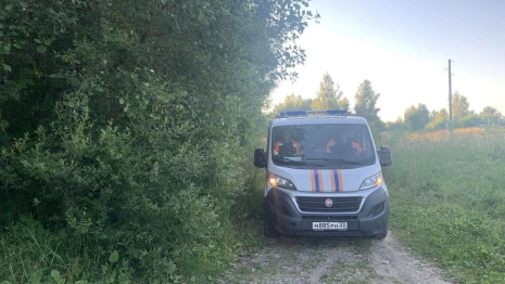 В СНТ в Камешковском районе потерялась 72-летняя женщина