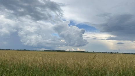 Когда во Владимирской области закончится аномальная жара?