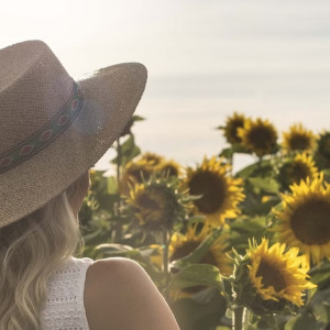 Синоптики пообещали возвращение 30-градусной жары во Владимирскую область