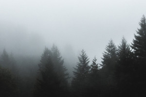 Владимирцев позвали на поиски 69-летней женщины в желтой панаме