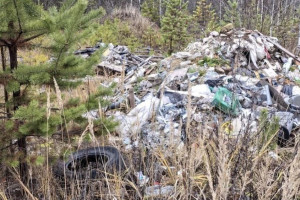 В лесу Селивановского района нашли огромную стихийную свалку