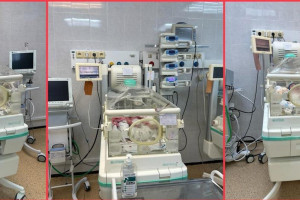 Во Владимирской области впервые за 5 лет родились тройняшки