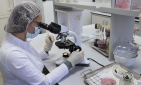 В пельменях владимирского производства нашли листерии