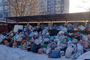 Город Владимир утонул в мусоре