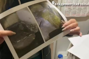 Бастрыкин заинтересовался переселением жильцов авариек в дома с плесенью во Владимире