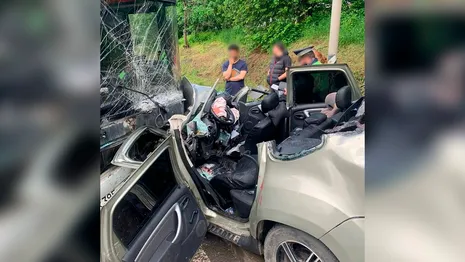 Полиция раскрыла подробности аварии с туристическим автобусом в Боголюбово