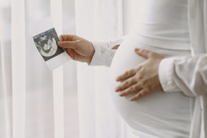 Беременные студентки из Владимирской области начнут получать повышенное пособие