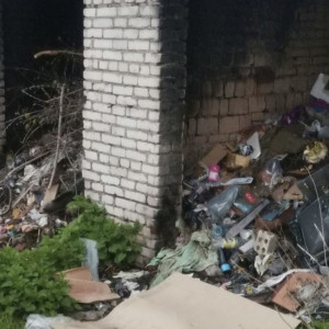 В Селивановском районе нашли 12 стихийных свалок