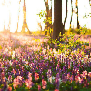 Синоптики рассказали о погоде в последний день лета во Владимирской области