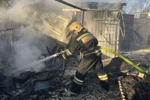 В деревне под Собинкой соседи спасли жильцов одноэтажного дома от пожара
