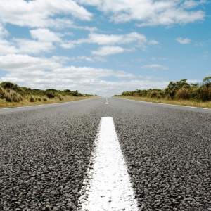 Во Владимире появились улицы Китов луг и Шишкино поле