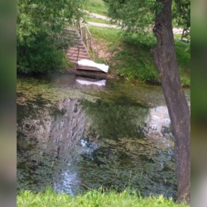 Прохожие заметили труп женщины у Красносельского пруда во Владимире 

