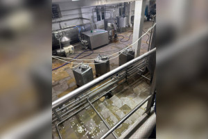 Молокозавод во Владимирской области уличили в нарушениях