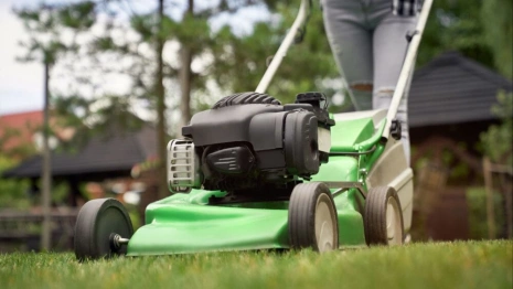 Владимирским дачникам запретят косить траву в обед и шуметь по ночам

