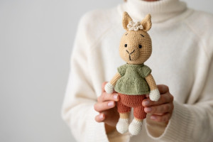 Девушку из Владимира обманули на 10 тыс. рублей под предлогом продажи кукол