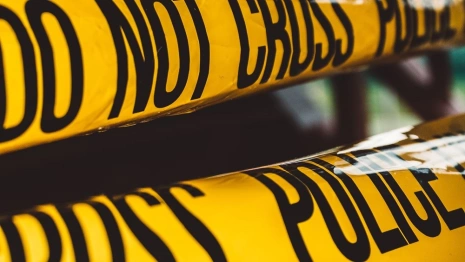 На дачном участке под Владимиром нашли мину без взрывателя