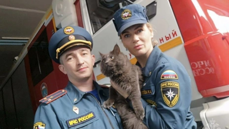 Спасатели показали спасенного  в мартовский мороз котенка из Гусь-Хрустального