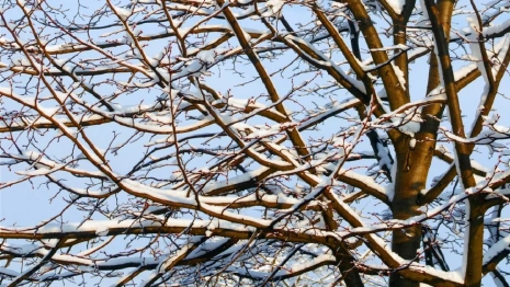 Прогноз погоды во Владимирской области на 12 марта