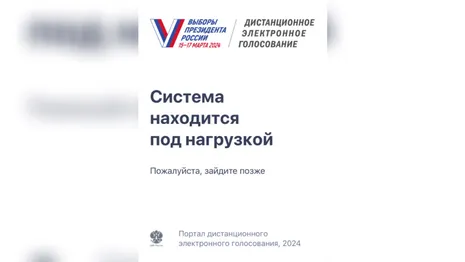 Владимирцы пожаловались на перебои в работе портала дистанционного голосования