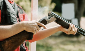 Браконьера из Коврова будут судить за убийство двух лосей