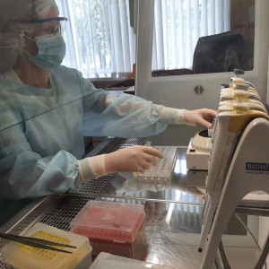 Во Владимирской области с людей сняли 14 зараженных вирусами клещей