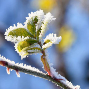 Михайлово чудо: что можно и нельзя делать 19 сентября