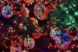 В Коврове появится 46 новогодних елок к началу зимы