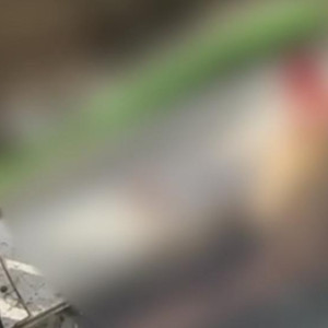 Появилось видео с места падения 19-летней девушки с 8-го этажа во Владимире