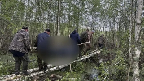 Гибель 38-летнего жителя Гусь-Хрустального района в лесу обернулась уголовным делом