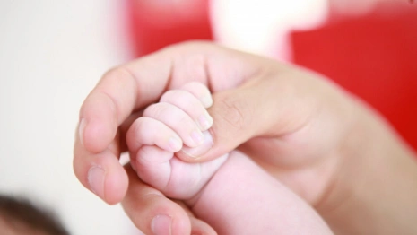 В мае во Владимирской области родился 681 малыш