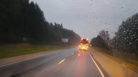 Спасатели рассказали о поисках мужчины в лесу под Ковровом