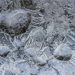 Синоптики спрогнозировали вероятность ЧС во Владимирской области 25 января