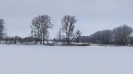 В Суздале снесли незаконно возведенную базу отдыха на берегу озера