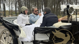 Отец Илона Маска запланировал переселить во Владимирскую область 50 африканских семей