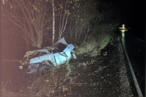 На дороге во Владимирской области водитель ВАЗ врезался в дерево