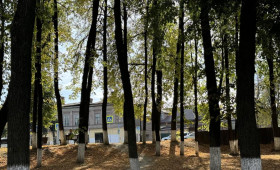 Во Владимире парк и бульвар обработают от клещей